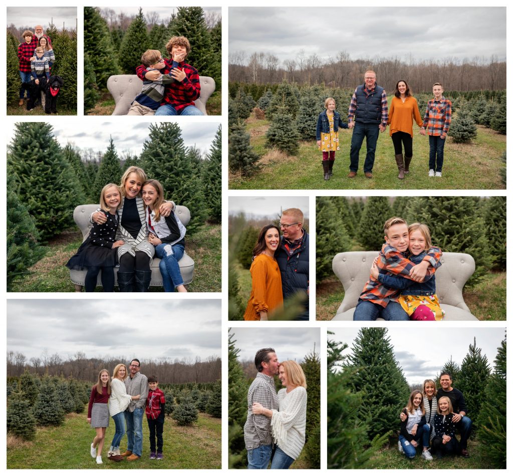 Sugar Pines Tree Farm Sneak Peak